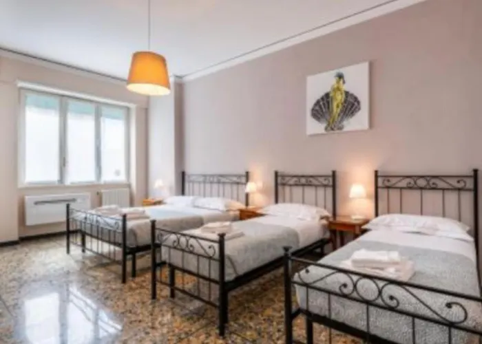 Ameli Room